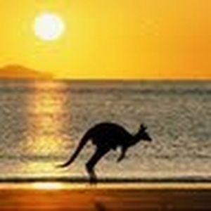 Meet your Posher, Kara